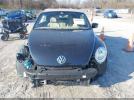 Volkswagen Beetle Image 15