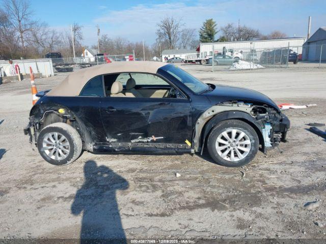 Volkswagen Beetle Image 11