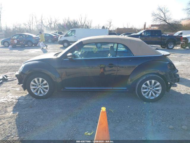 Volkswagen Beetle Image 12