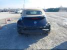 Volkswagen Beetle Image 10