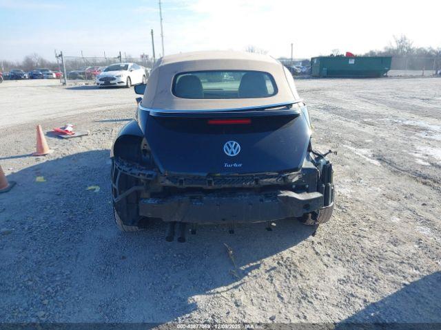 Volkswagen Beetle Image 10