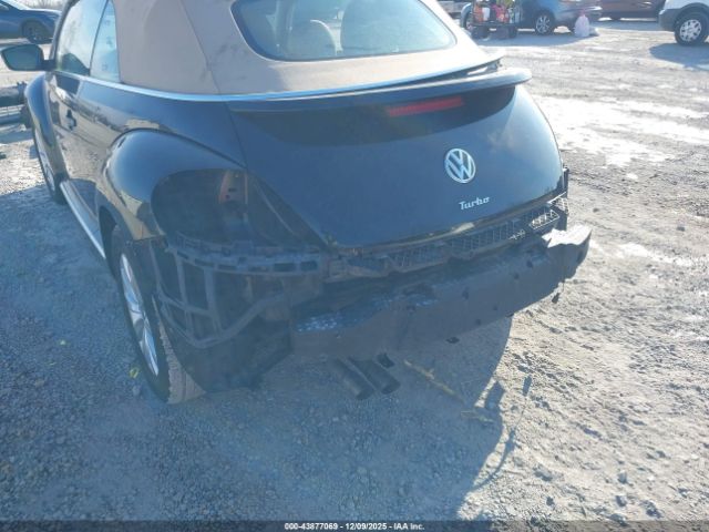 Volkswagen Beetle Image 17