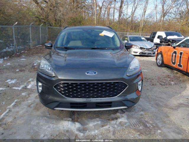 Ford Escape Titanium Image 5