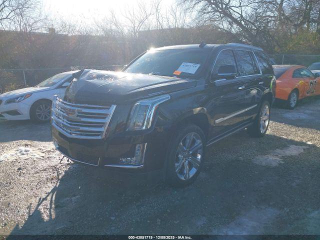 Cadillac Escalade Platinum Image 3