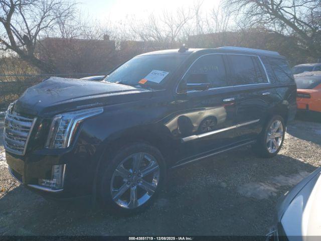 Cadillac Escalade Platinum Image 9