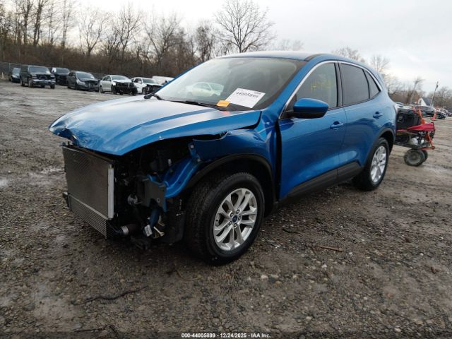 Ford Escape Se Image 3