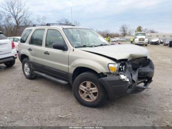  Salvage Ford Escape