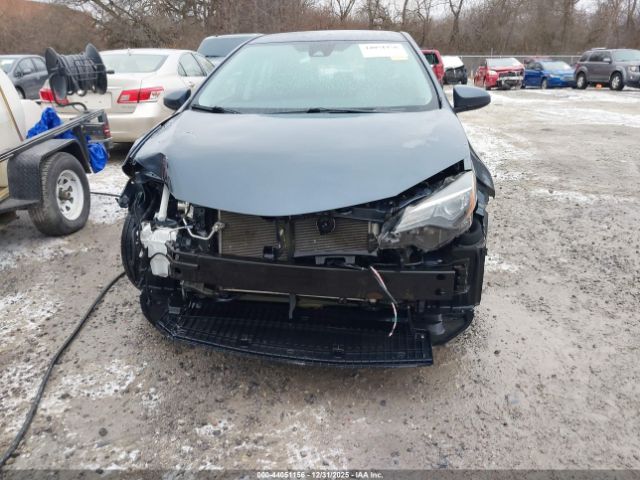 Toyota Corolla Le Image 14